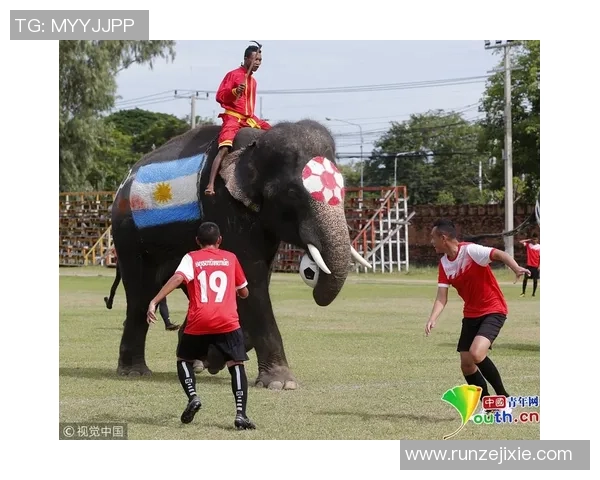 细数当今足坛顶级球星独特技术风格与惊艳球场表现